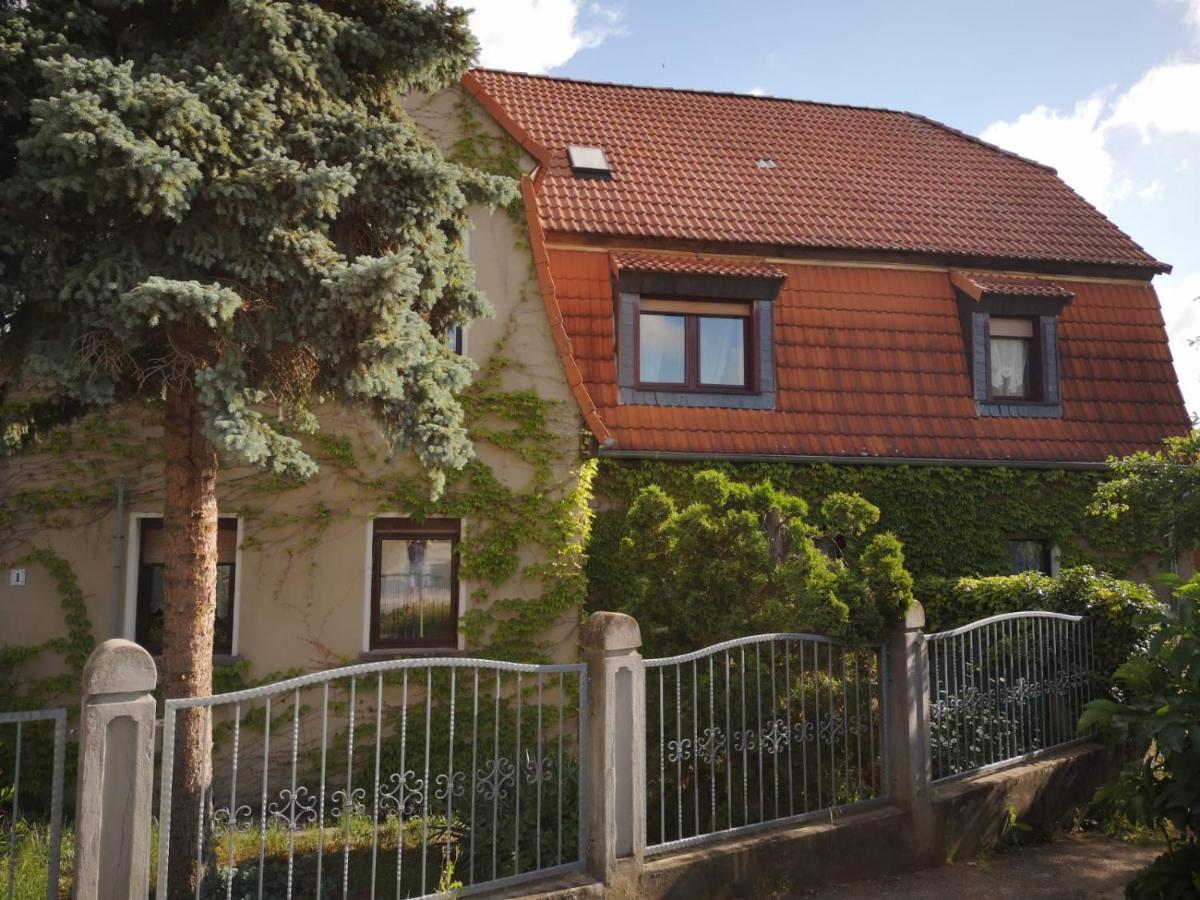 Pension Kirschgarten Nebra Exterior foto